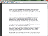 Ansicht von Adobe Acrobat Reader Adobe Acrobat Reader